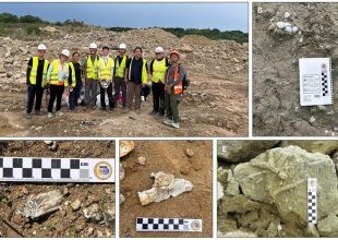 Thumbnail for the post titled: From the sea to the land: Invertebrate and Vertebrate Fossils from the Nannoworks Laboratory June 2025 La Union Fieldwork