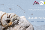 Thumbnail for the post titled: Ang Mga Nahukay sa Matabungkay: Unearthing Matabungkay’s Fossils